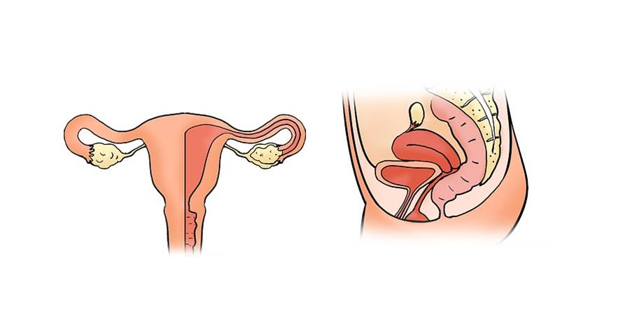 cum se formeaza sarcina extrauterina