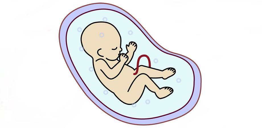 lichidul amniotic