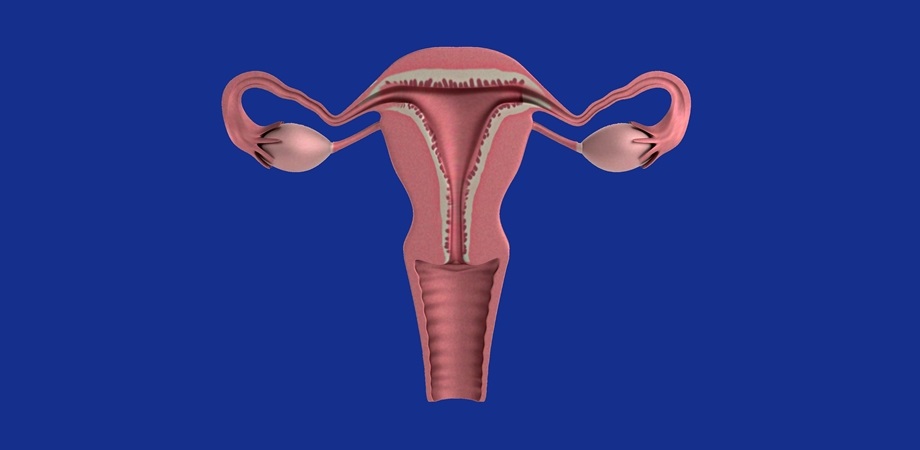 probleme cu ovulatia
