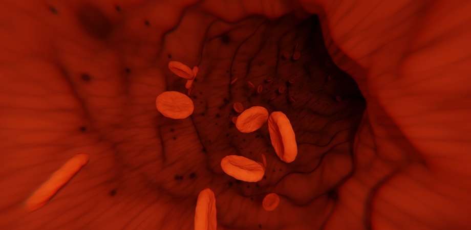 cheaguri de sange in sarcina