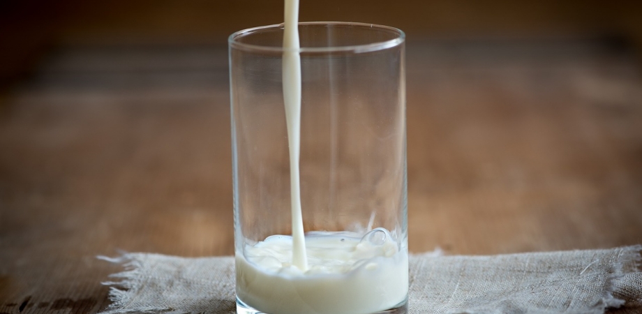 nutrientii din laptele de vaca