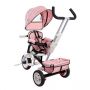 Tricicleta Sun Baby 002 Super Trike Plus Pink, cu sezut reversibil, 12 luni+, Roz