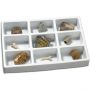 Kit paleontologie - Fosile Educational Insights, 8 ani+