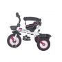 Tricicleta multifunctionala Rider MamaLove, Violet