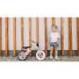 Bicicleta fara pedale Willy Bubblegum Lionelo, 2 ani+, Roz