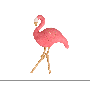 Perna decor flamingo Flora Bizzi Growin