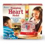 Sablon inima - Pomparea sangelui Learning Resources, 8 ani+