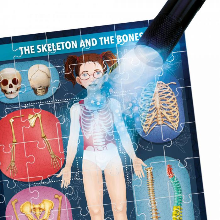 Stem - Puzzle radiografia corpului uman Headu, 6 ani+